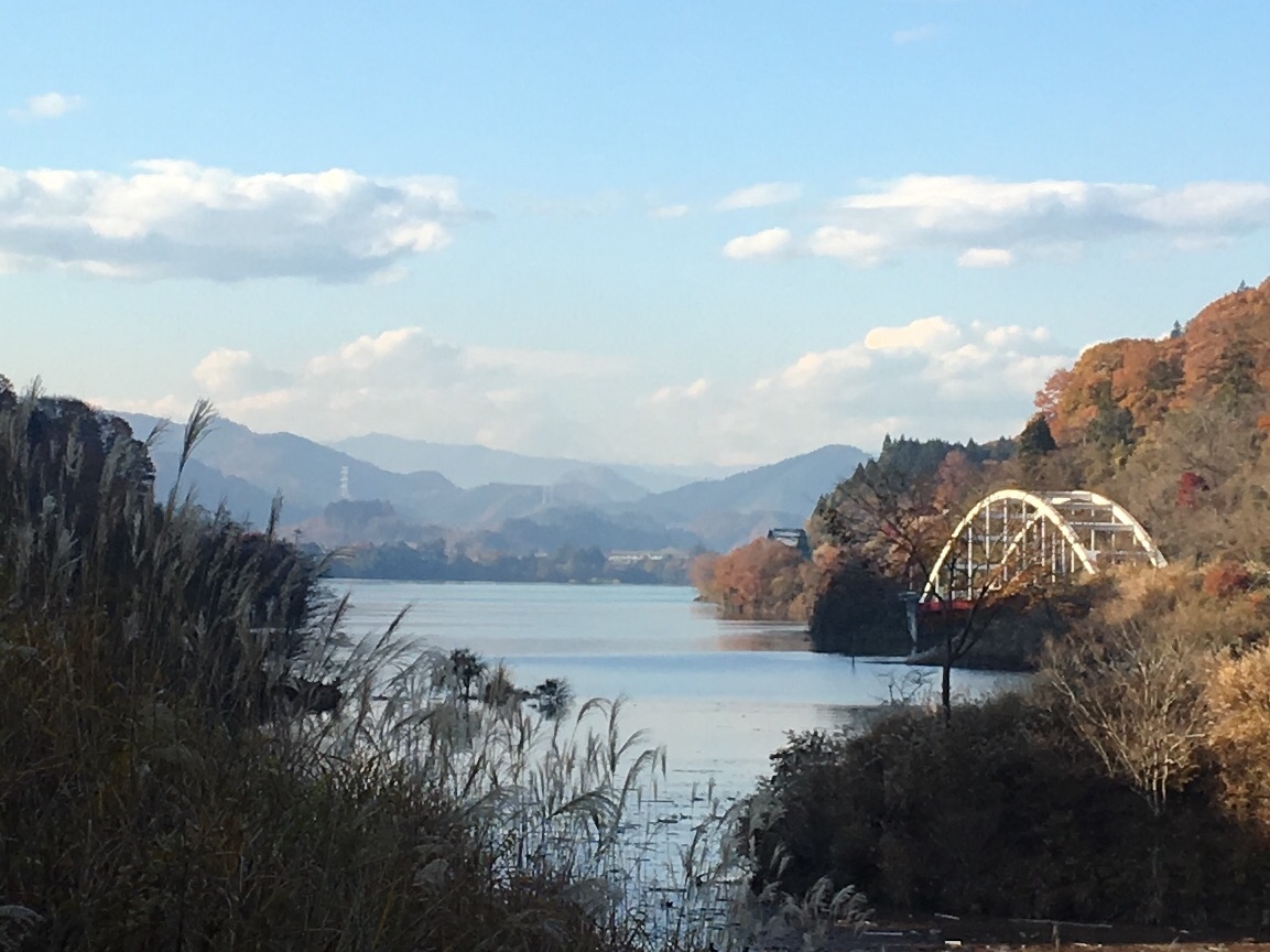 宮ヶ瀬湖の紅葉_b0330040_21490307.jpeg