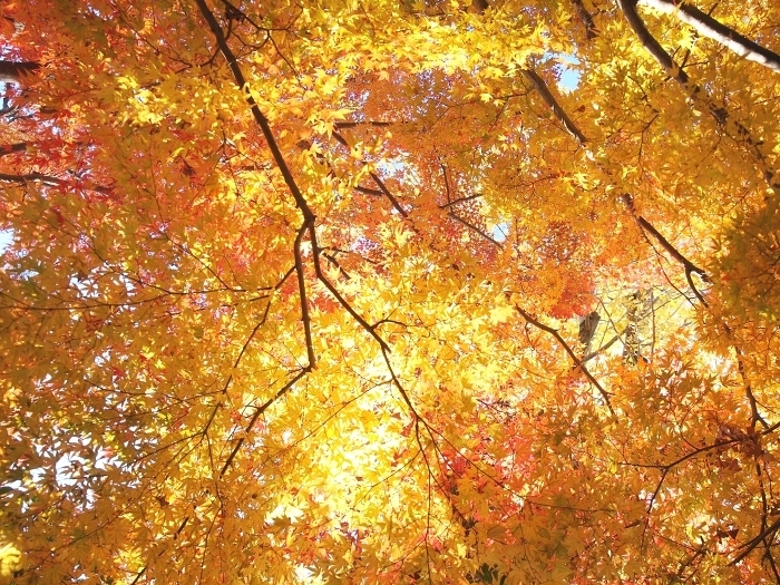 c0281841_14024519.jpg