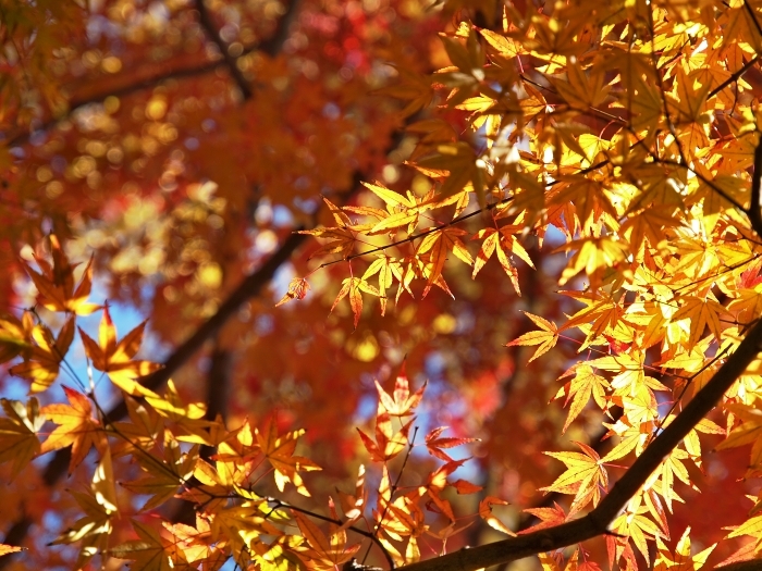 c0281841_14024979.jpg