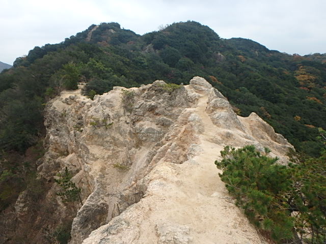 f0334143_122643.jpg