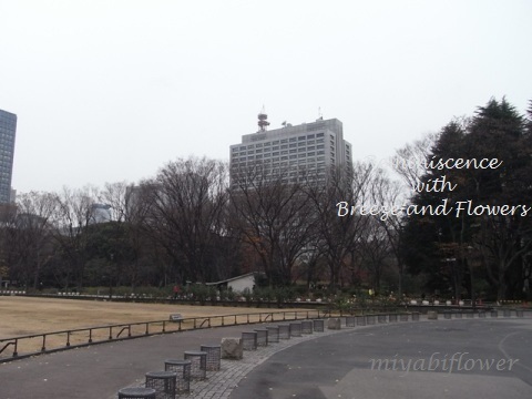 b0255144_12164206.jpg