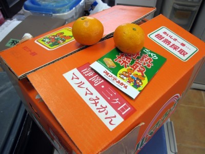 11月30日 明日から師走_b0158746_13125956.jpg