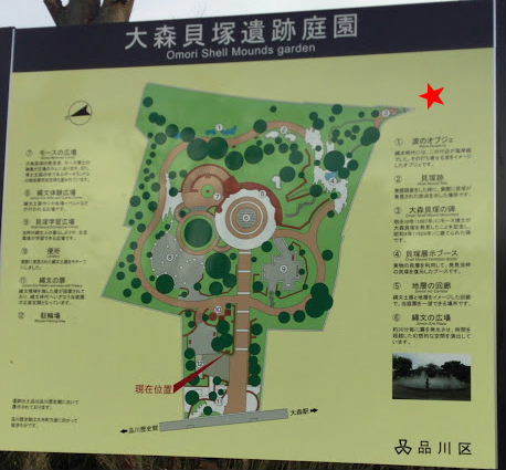 d0063149_17265062.jpg