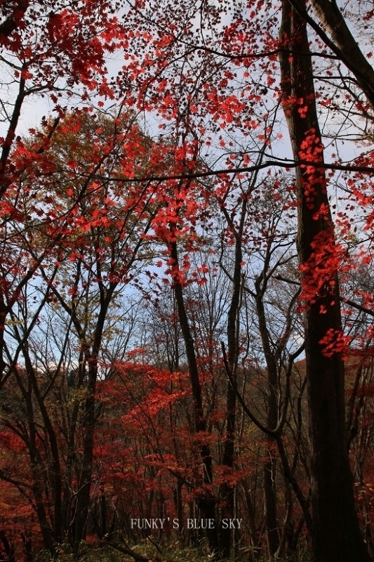 c0145250_09452801.jpg