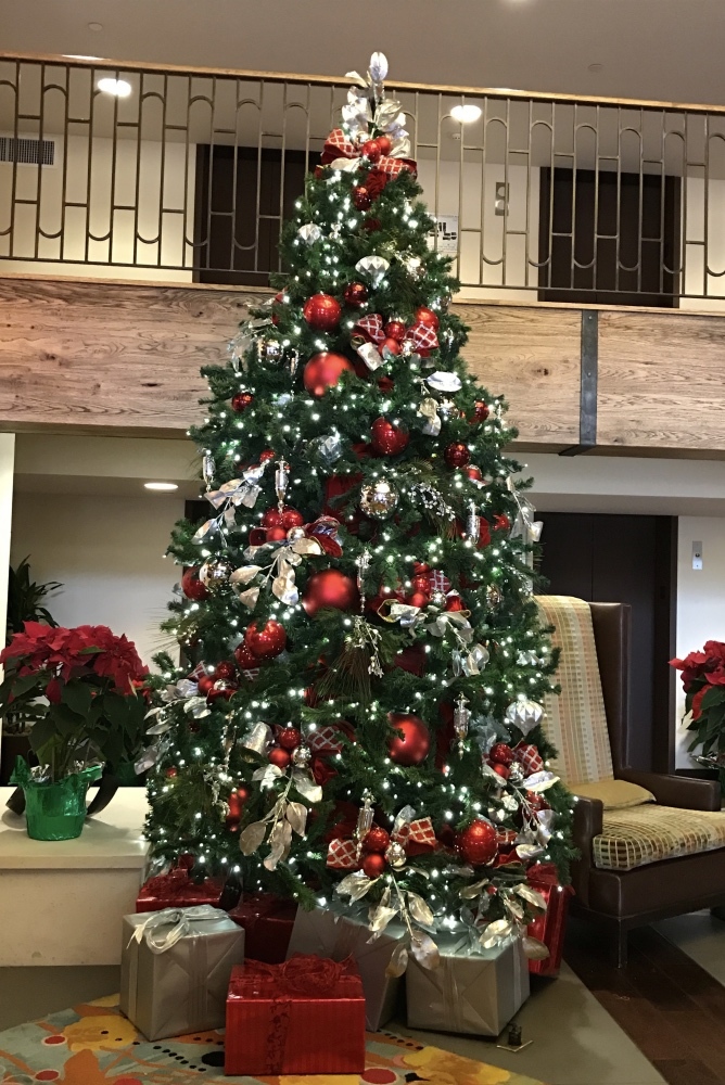 クリスマスツリー🎄_e0360552_19063327.jpg