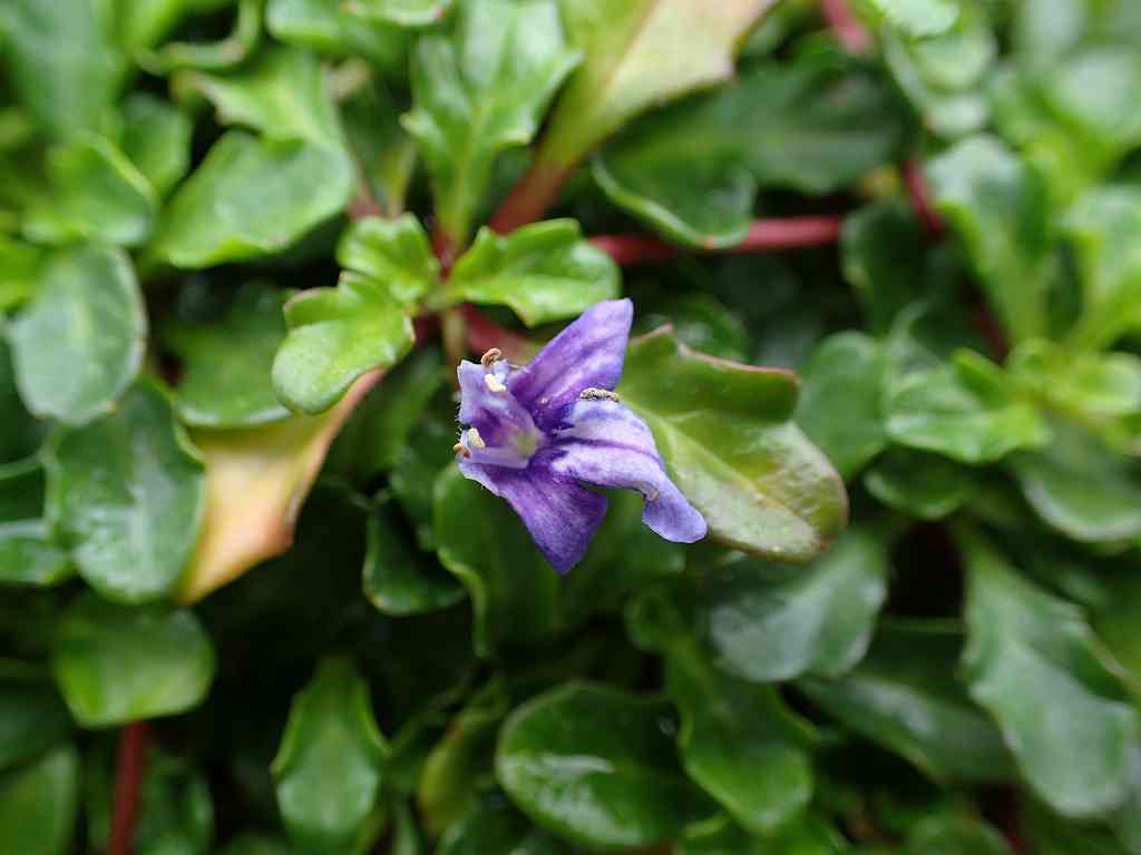 e0367158_10140756.jpg