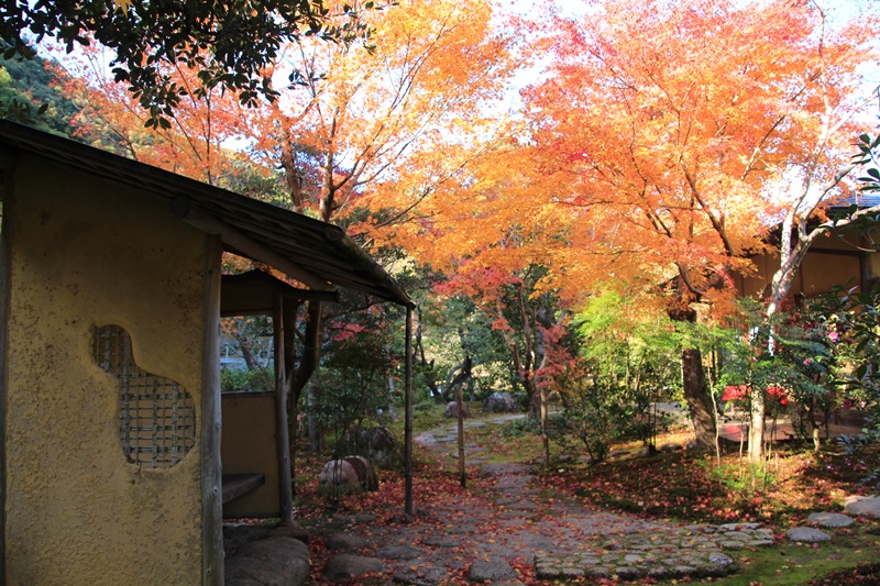 彩の日本庭園＠玉露の里・3♪_a0167759_21503554.jpg