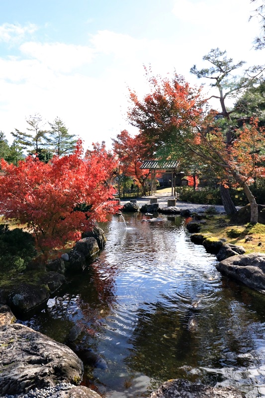 彩の日本庭園＠玉露の里・２♪_a0167759_235134.jpg