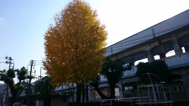 c0328559_16254870.jpg