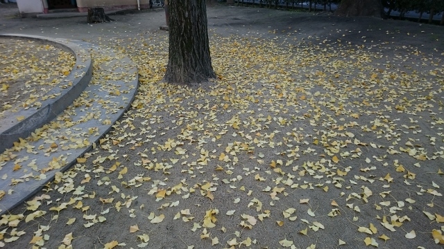 c0328559_16255908.jpg