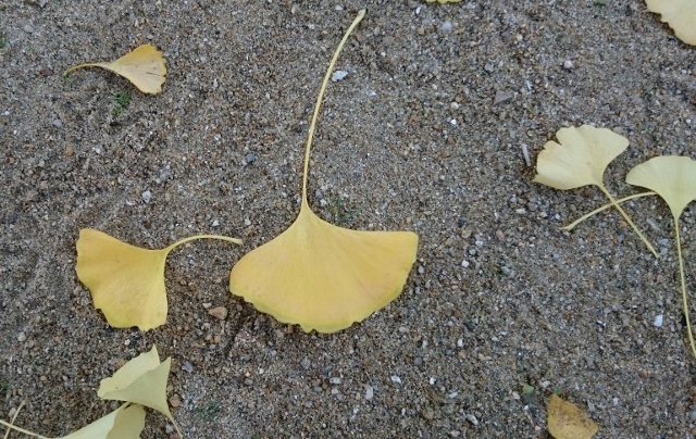 c0328559_16290786.jpg