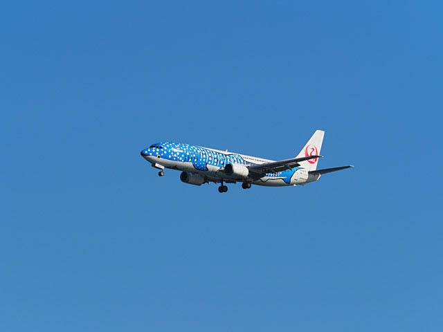 f0199866_22430540.jpg