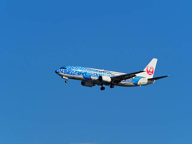 まだ現役B737-400ジンベエジェット_f0199866_22431290.jpg