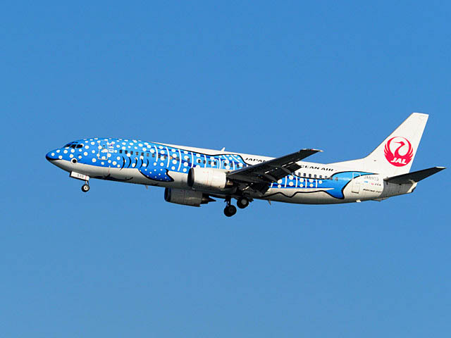 まだ現役B737-400ジンベエジェット_f0199866_22432072.jpg