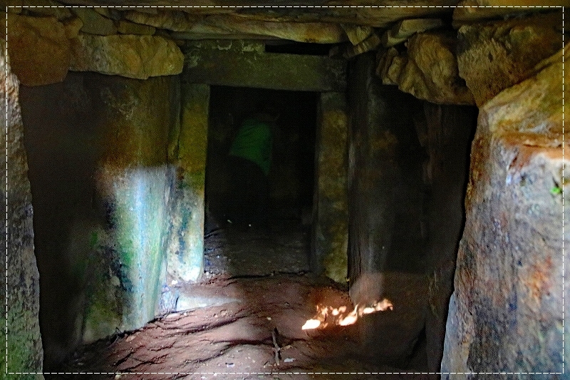 d0102968_20350285.jpg
