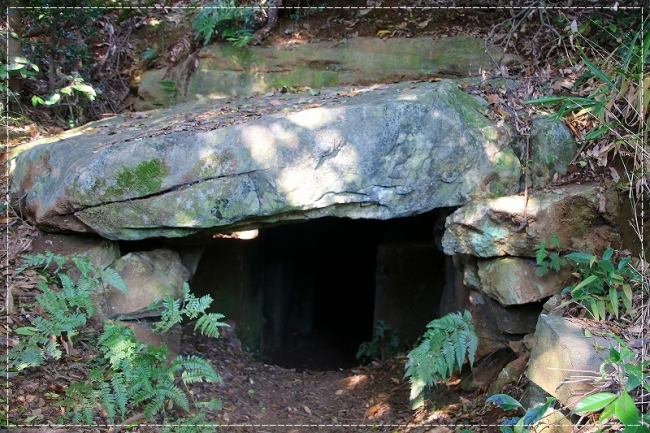d0102968_20350598.jpg