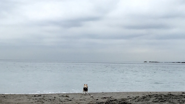 b0274270_10182217.jpg