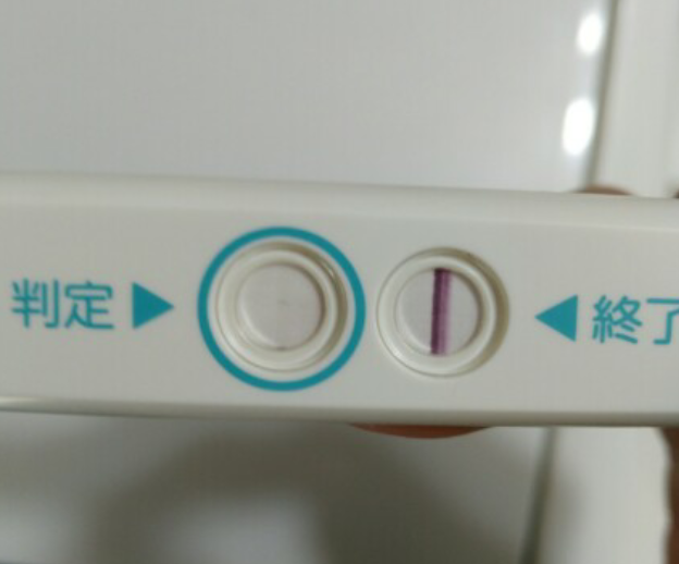 高温期16日目 チェックワンファスト 薄い 二人目不育症日記