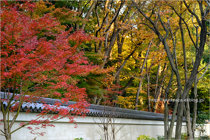 小石川後楽園_a0280374_14541448.jpg