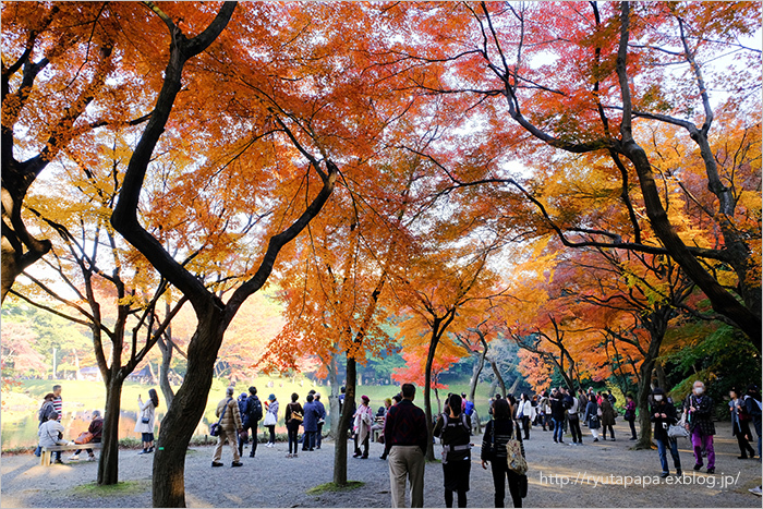 小石川後楽園_a0280374_15062445.jpg