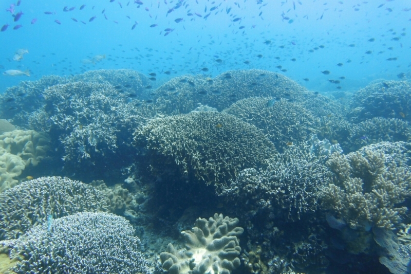 d0363174_10353415.jpg