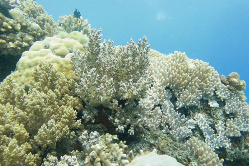 d0363174_10360387.jpg