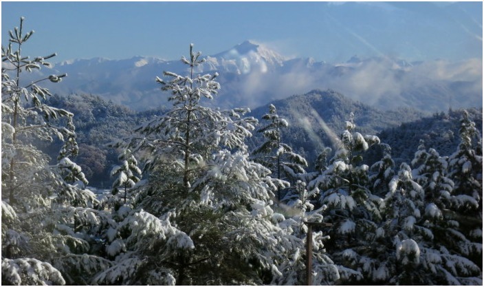 < 雪景色 >_c0036080_12125834.jpg