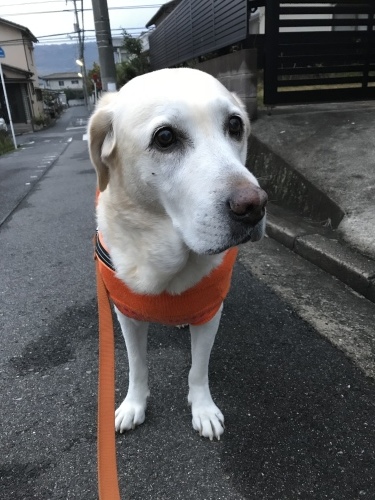 f0315081_22310231.jpeg