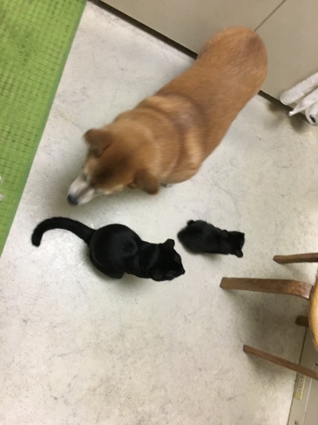 b0377882_23495663.jpeg