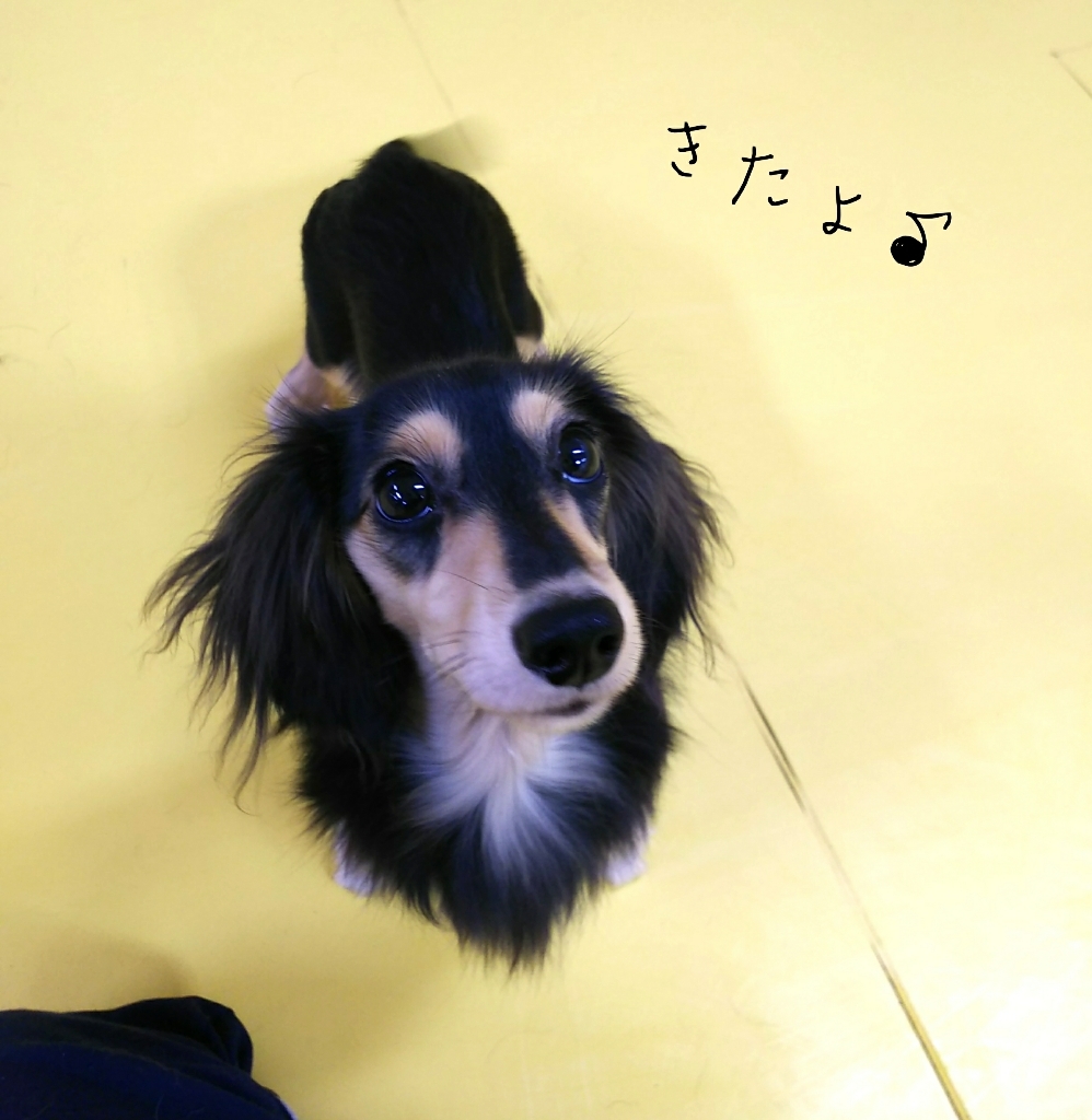 トレーニングブログ_f0357682_13031126.jpg