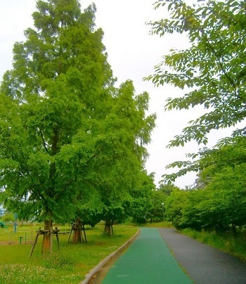 e0366084_14272354.jpg