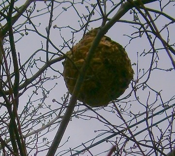 e0366084_14371737.jpg