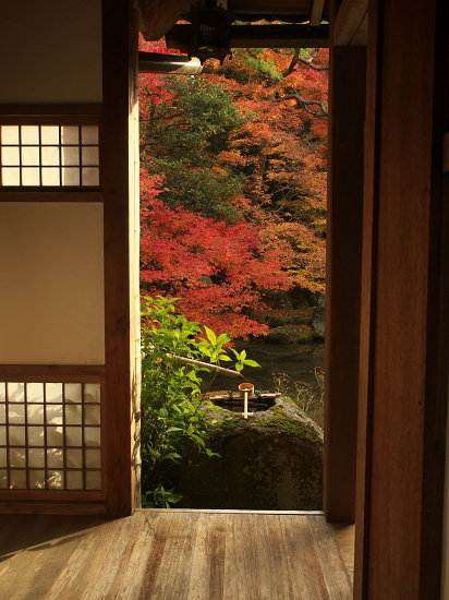 紅葉めぐり2017～蓮華寺～(11/26)_d0026589_23180727.jpg