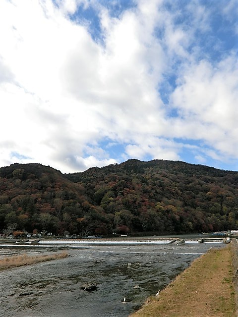 藤田八束の京都の秋@京都嵐山渡月橋、宝厳院、天竜寺の秋・・京都嵐山の秋_d0181492_07204803.jpg