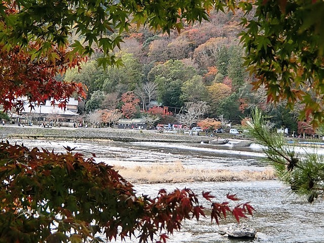 藤田八束の京都の秋@京都嵐山渡月橋、宝厳院、天竜寺の秋・・京都嵐山の秋_d0181492_07210290.jpg