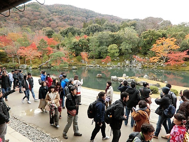 藤田八束の京都の秋@京都嵐山渡月橋、宝厳院、天龍寺の秋・・世界文化遺産天龍寺の秋_d0181492_08172850.jpg