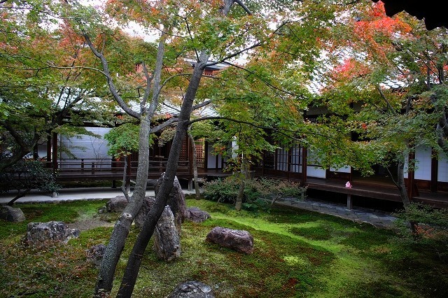 錦秋の京都　2017 建仁寺_f0374092_17241898.jpg