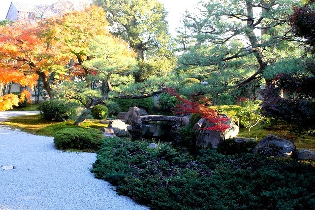 錦秋の京都　2017 建仁寺_f0374092_18031625.jpg