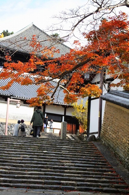 f0374092_21484628.jpg