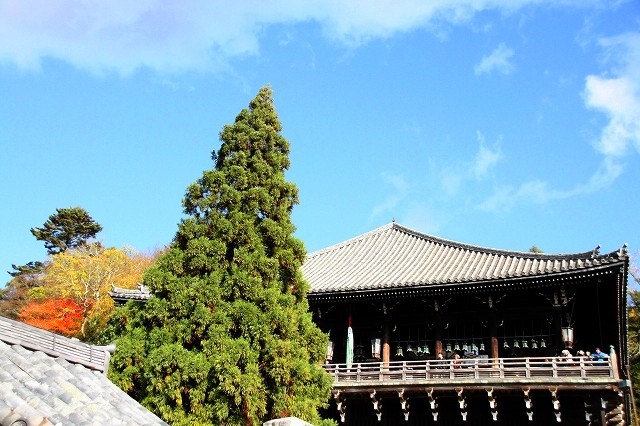 f0374092_21543065.jpg