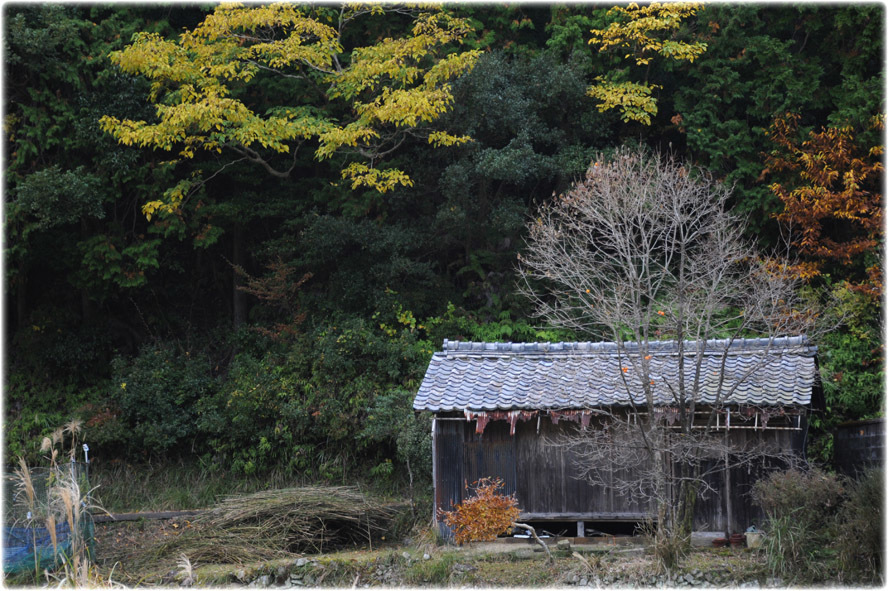 いつもの風景_c0310894_08361012.jpg