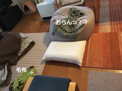 f0372998_22184413.jpg