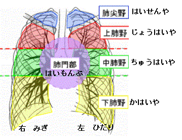 一般健康診断 ５ 労働安全衛生法 看護師が やさしい日本語 を学ぶブログ