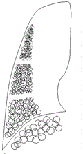 d0364500_21050317.gif