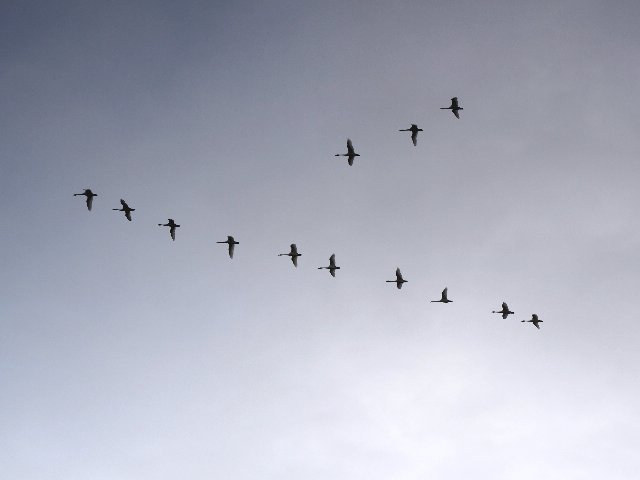 c0008502_1841277.jpg