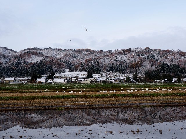 c0008502_2054263.jpg