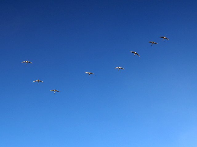 c0008502_5431072.jpg