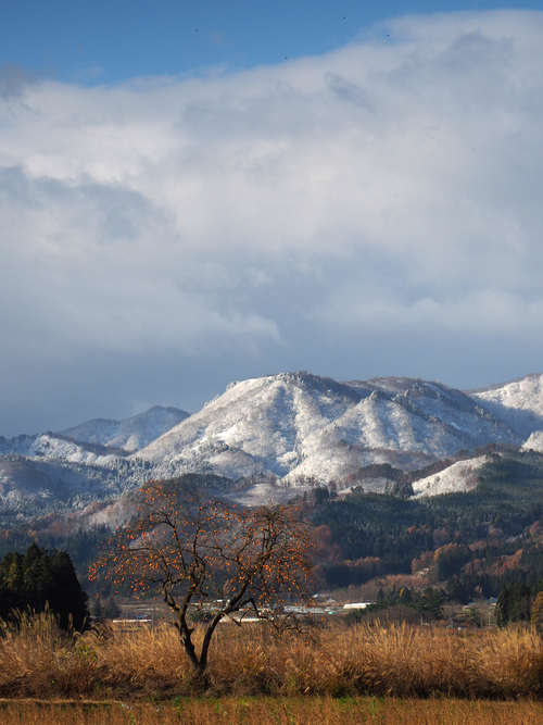 c0008502_621685.jpg