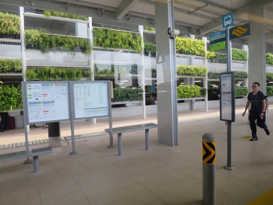Changi 空港に T4がオープンしていました!_c0212604_7313821.jpg