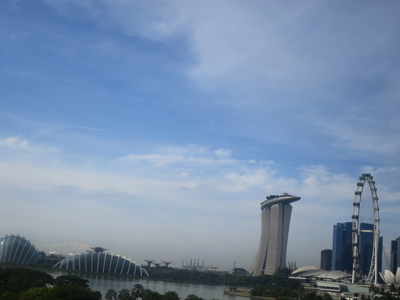Changi 空港に T4がオープンしていました!_c0212604_7332345.jpg